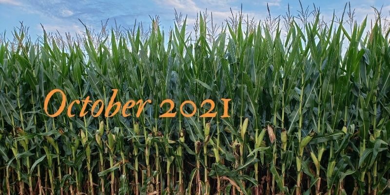 October Corn