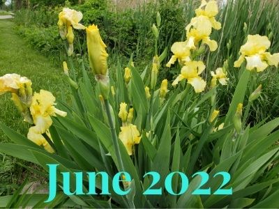 Yellow Iris's June 22 Astro Weather