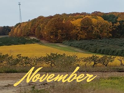 Fall Farm November
